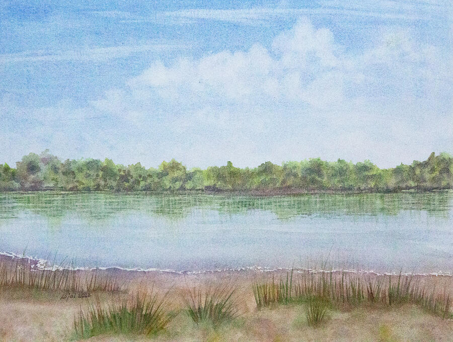 Brackish Pond on Honeymoon Island Painting by Barbara Insalaco Fine