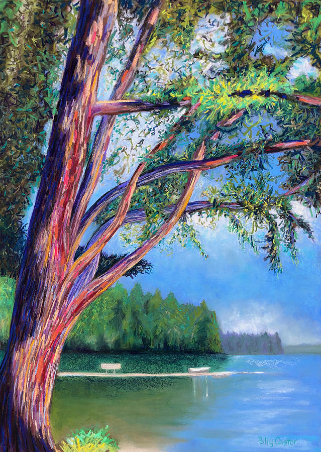 Braided Branches on Long Lake Painting by Polly Castor