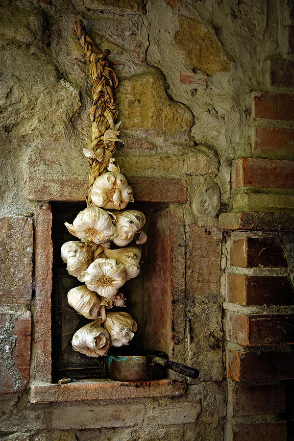 Braided Garlic String, Tuscany Photograph by Mike Schaffner