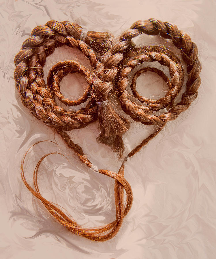 Braided Locks Of Love Photograph by Her Arts Desire
