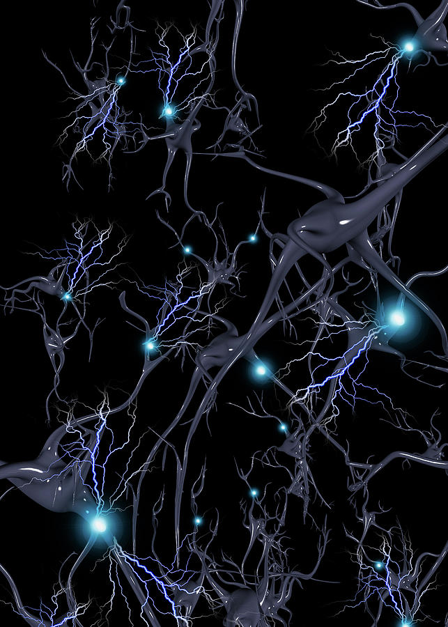 Brain cells. Neurons Digital Art by Bruce Rolff