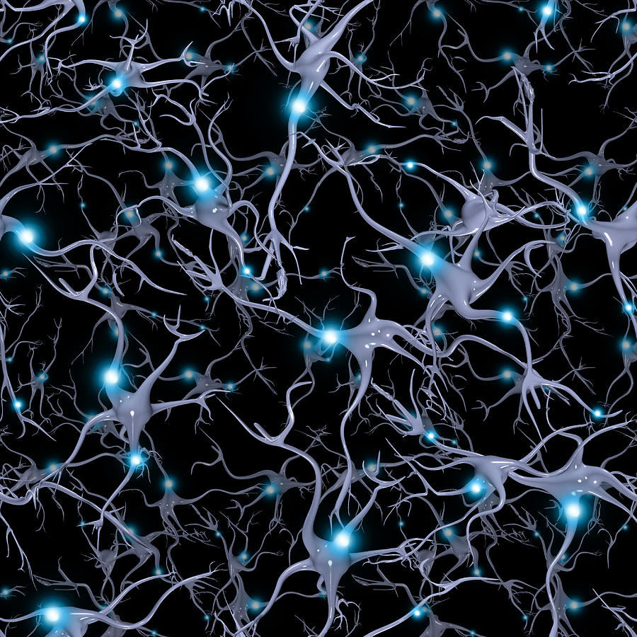 Brain Cells Pattern Photograph by Bestdesigns
