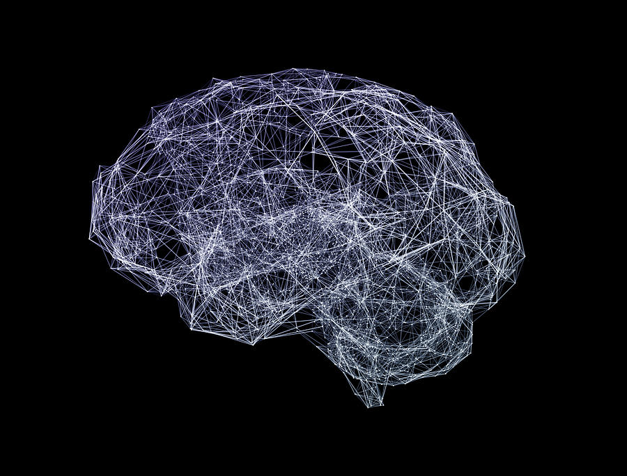 Brain shaped network, illustration Drawing by Jesper Klausen / Science Photo Library