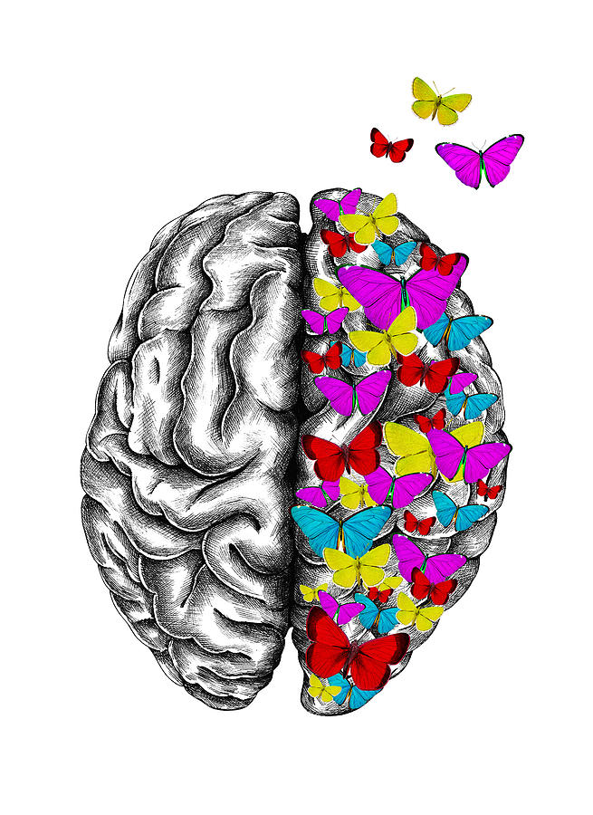 Brain with butterflies Digital Art by Mihaela Pater - Fine Art America