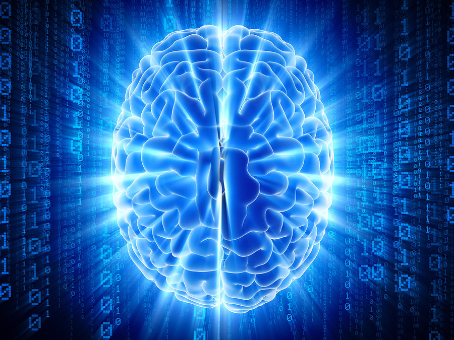 Brain with hi-tech cyber theme Photograph by Henrik5000