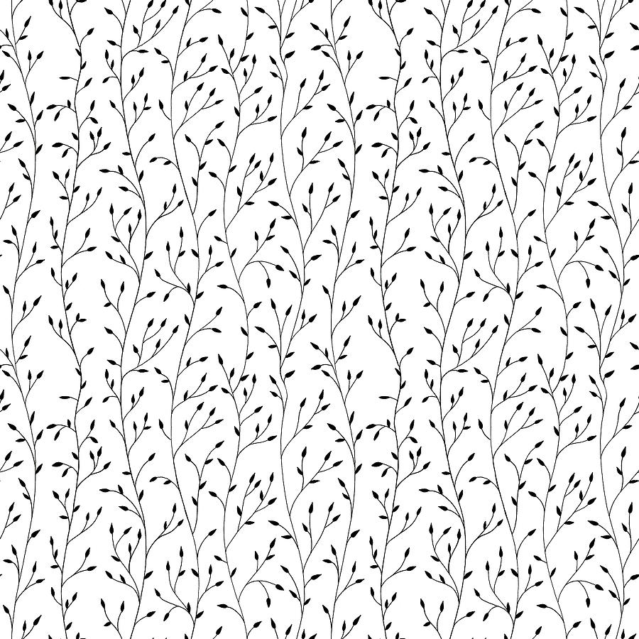 Branch and leaves thin black on a white background pattern Drawing by ...