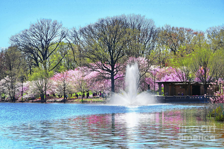 Branch Brook Park Lake Fountain and Cherry Blossoms. Photograph by