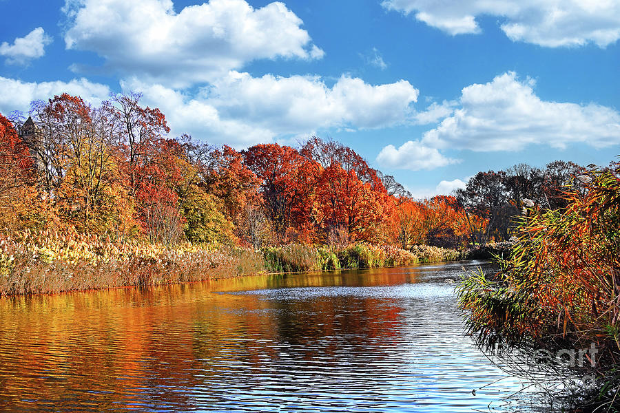 Branch Brook River Autumn Foliage Photograph by Regina Geoghan