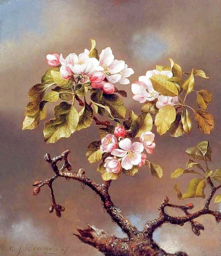 Branch Of Apple Blossoms Against A Cloudy Sky Painting by Martin Johnson Heade