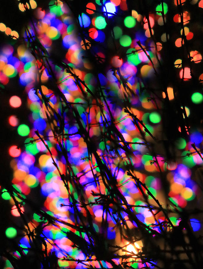 Branches and Bokeh Bubbles No. 3 Photograph by Steve Ember