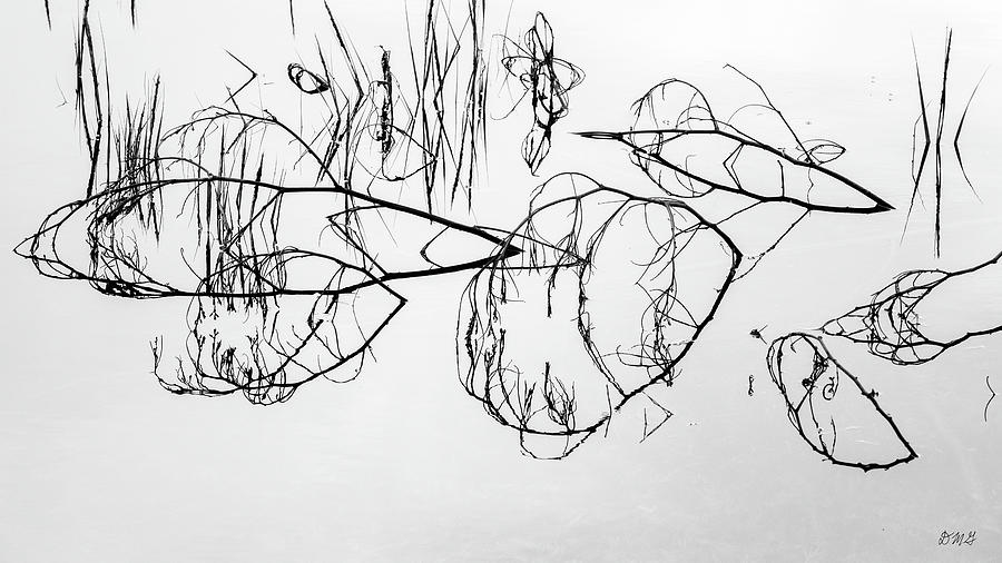 Branches and Reflections BW Photograph by David Gordon