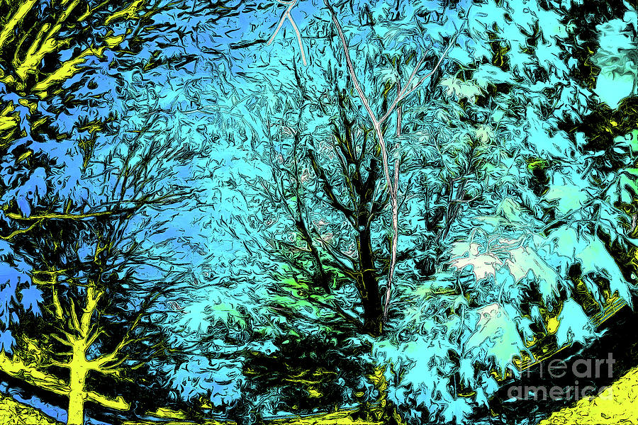 Branches fall colors 61 Digital Art by Chris Taggart