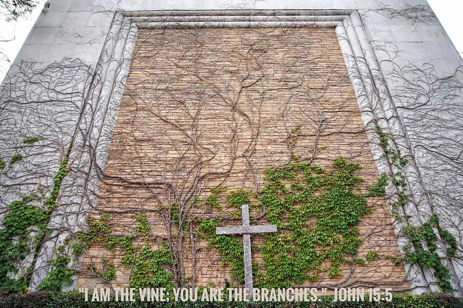 Branches from the Cross   Christian Spiritual Message Bible Verse Photograph by Buck Buchanan