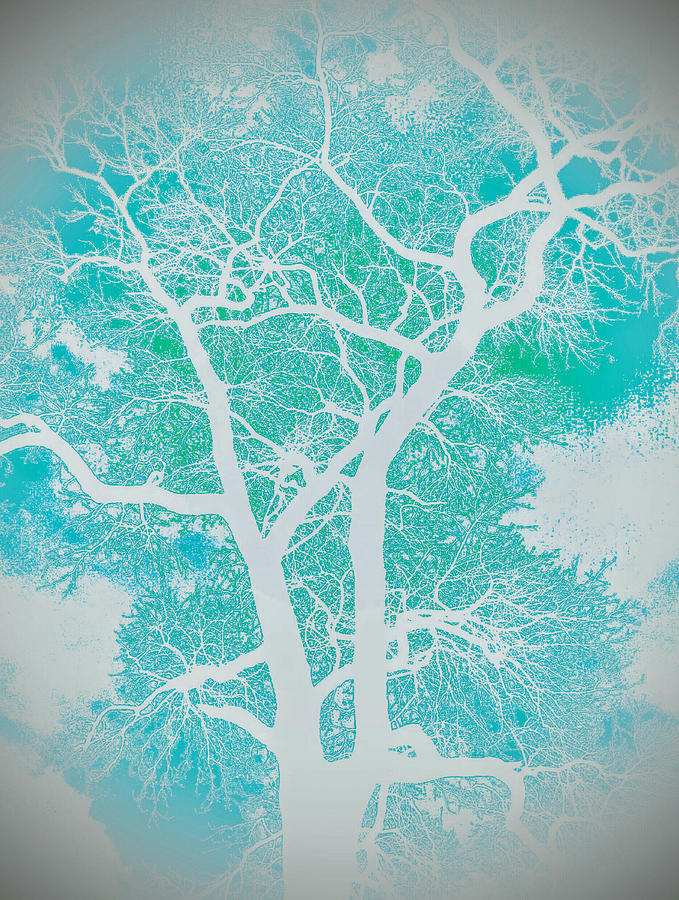 Branches of Watercolor  Digital Art by Jeremy Lyman