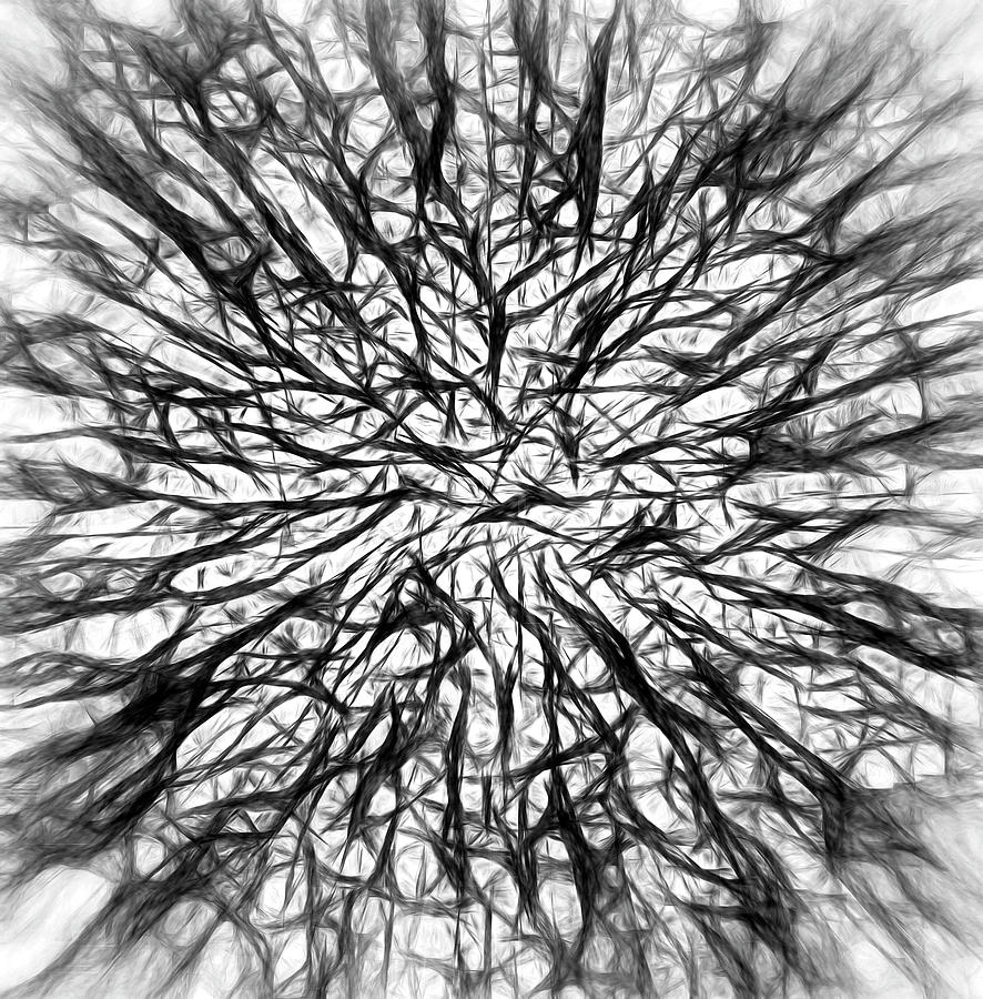 Branching Out in Black and White Digital Art by Kellice Swaggerty