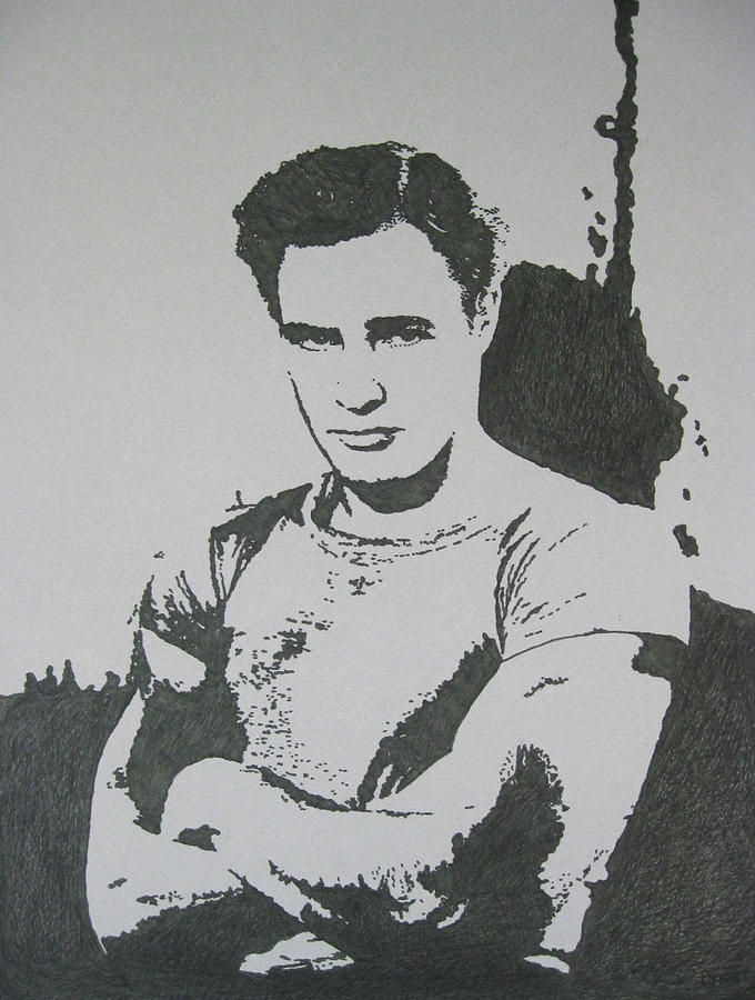 Brando Drawing by Lynet McDonald