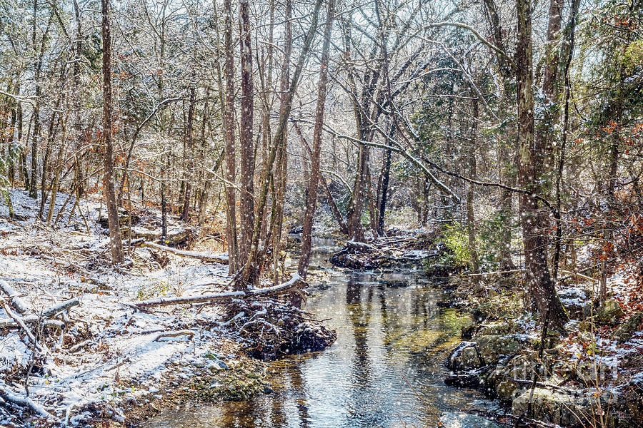 Branson Fall Creek Winter Snow Photograph by Jennifer White