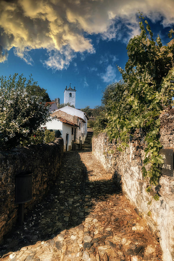 Brarganca medieval street Photograph by Micah Offman