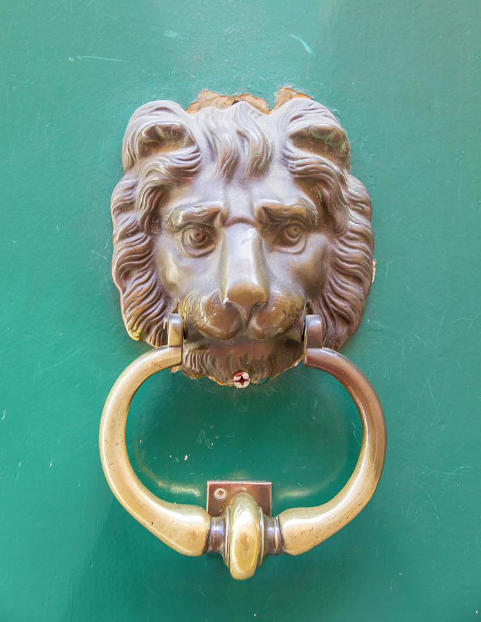 Brass Doorknocker Photograph by Teresa Mucha - Pixels