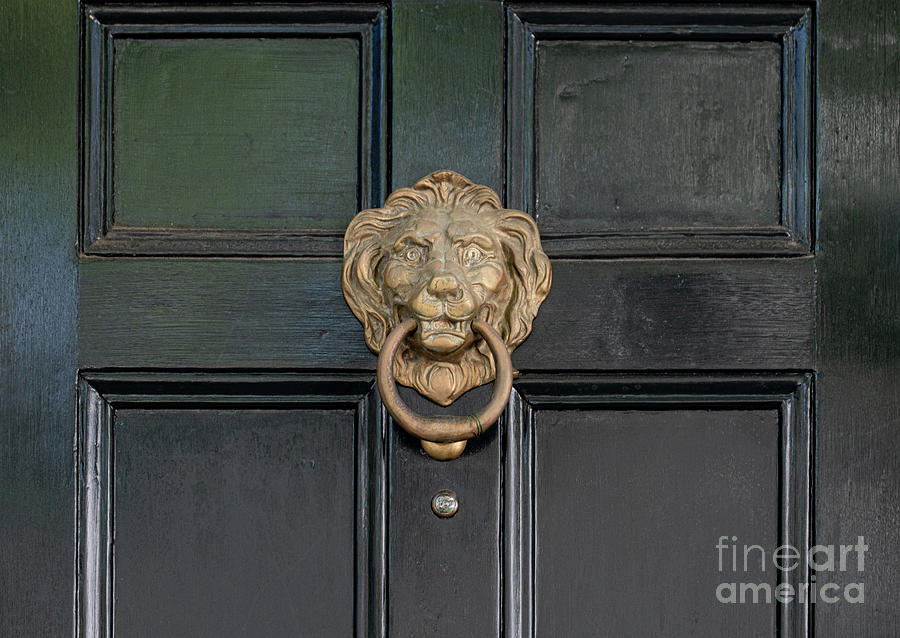 Brass Lion Door Knocker - Charleston Historic Doors Photograph by Dale Powell