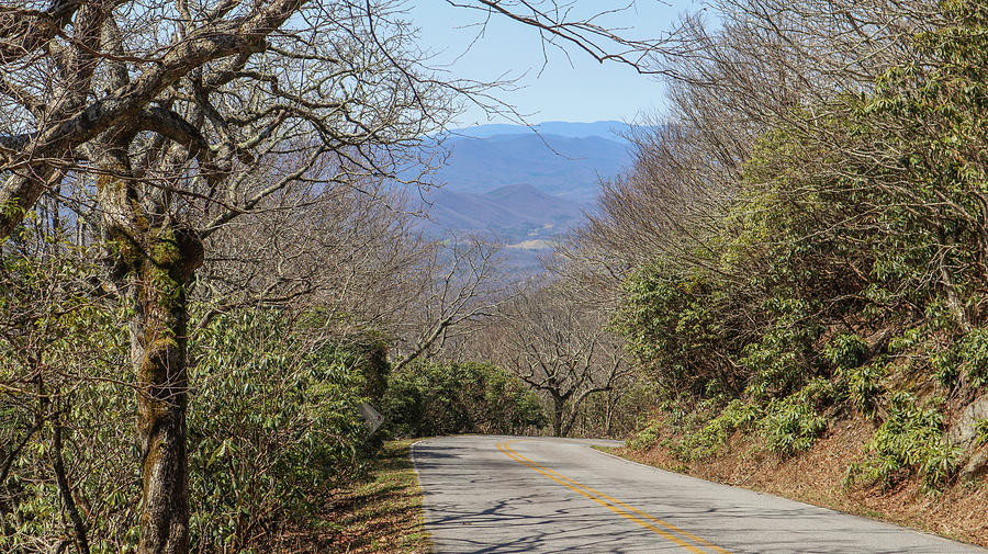 Brasstown Bald Downhill  Photograph by Ed Williams