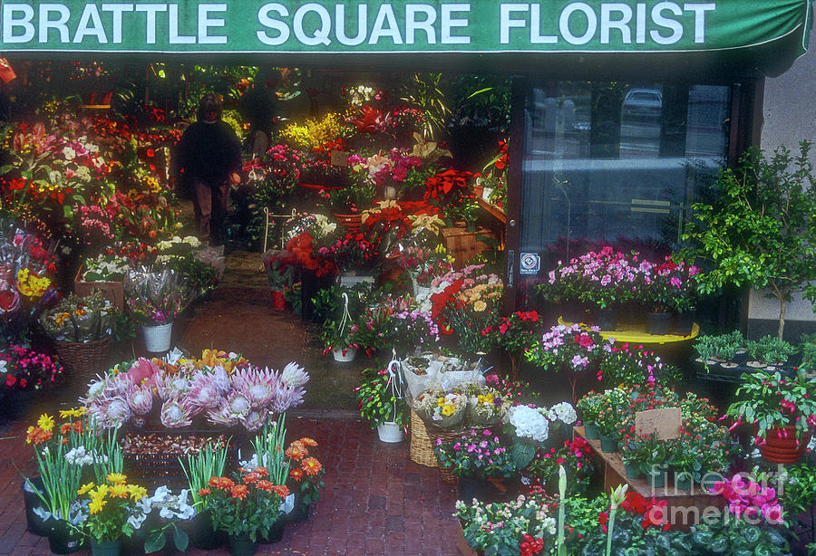 Brattle Square Florist Photograph by Bob Phillips