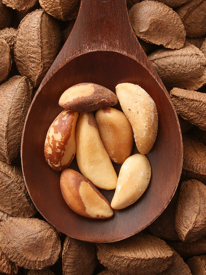 Brazil nuts Photograph by FotografiaBasica