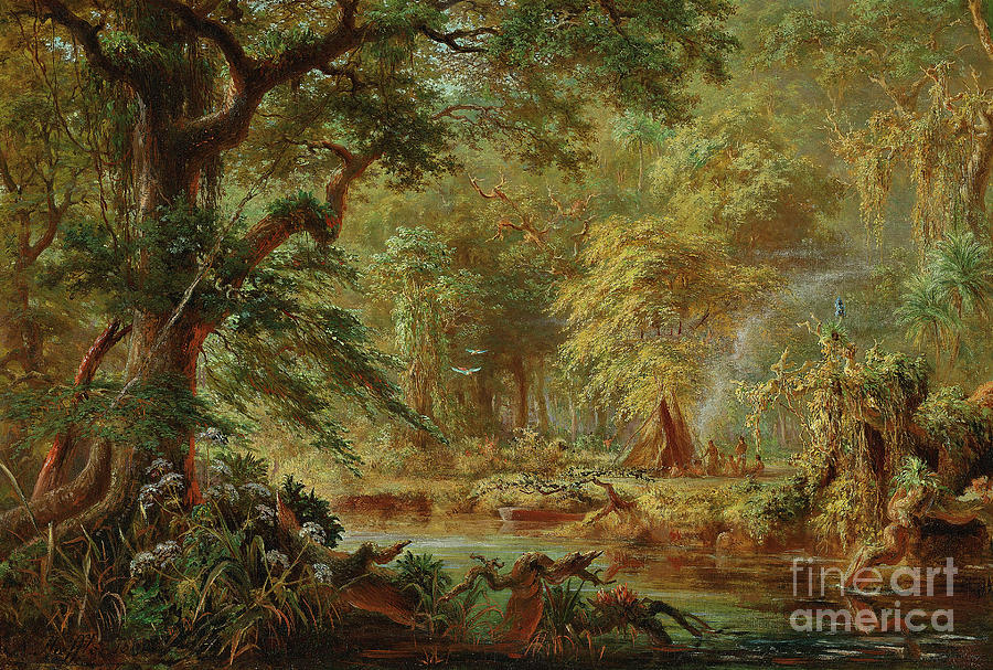 Tree Painting - Brazilian Indian camp beside a river in the rainforest by Johann Adolf Hoffler