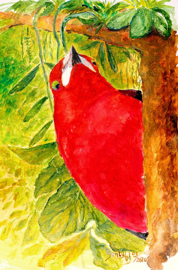 Brazilian Tanager Painting by Jason Sentuf
