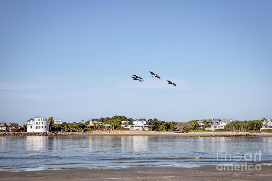 Breach Inlet Fly By Photograph by Rebecca Caroline Photography