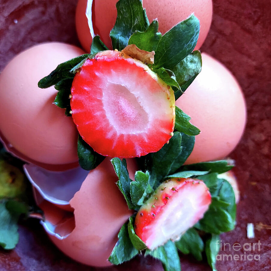 Breakfast Compost Strawberry Egg Shells Photograph by GJ Glorijean