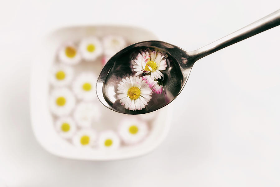 Breakfast with daisies Photograph by Plamen Petkov