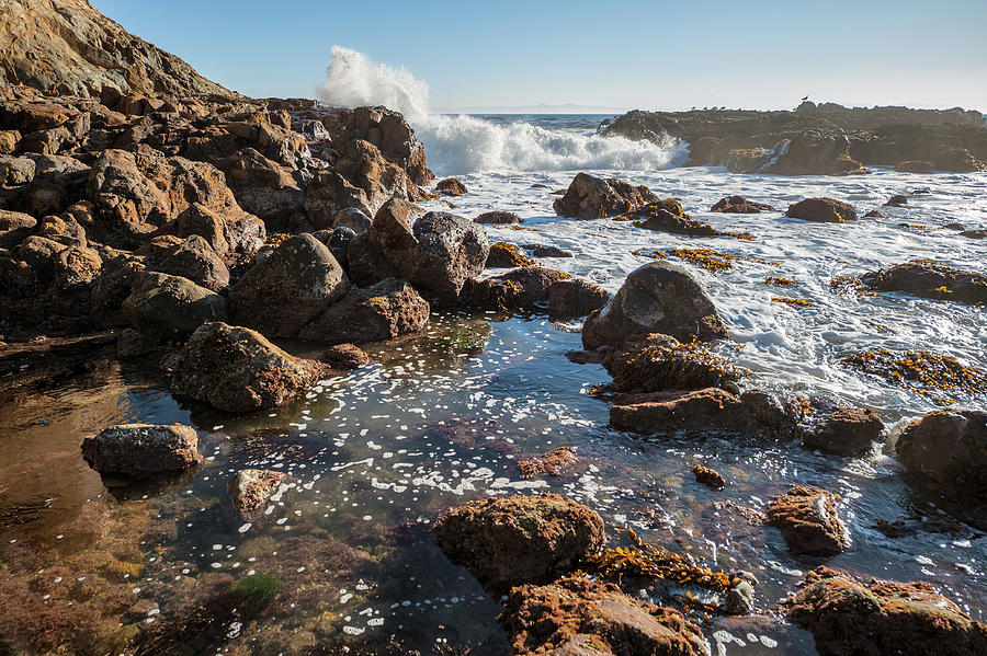 Breaking Wave In The Abalone Cove Tide Pool Photograph by Craig Brewer