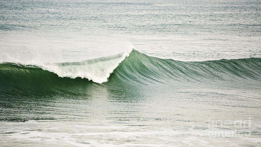 Nature Photograph - Breaking Wave by Scott Pellegrin