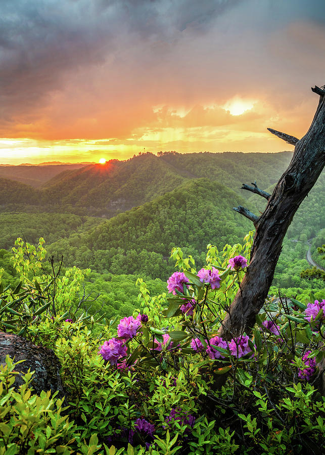 Breaks Interstate Park KY VA Sunset Scenic Rhododendron Photograph by Robert Stephens