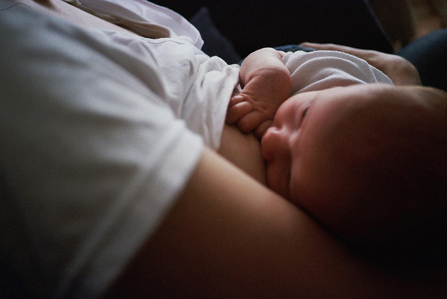 Breast feeding Photograph by Lita Bosch