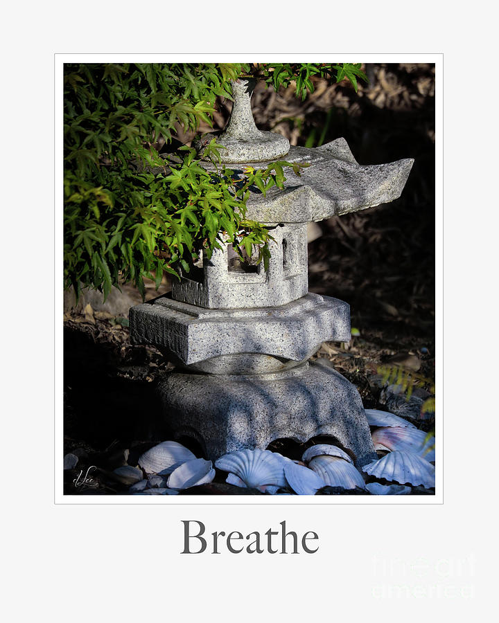 Breathe Photograph - Breathe by D Lee