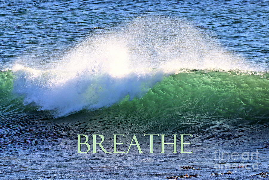 Breathe Deep Photograph by Vivian Krug Cotton