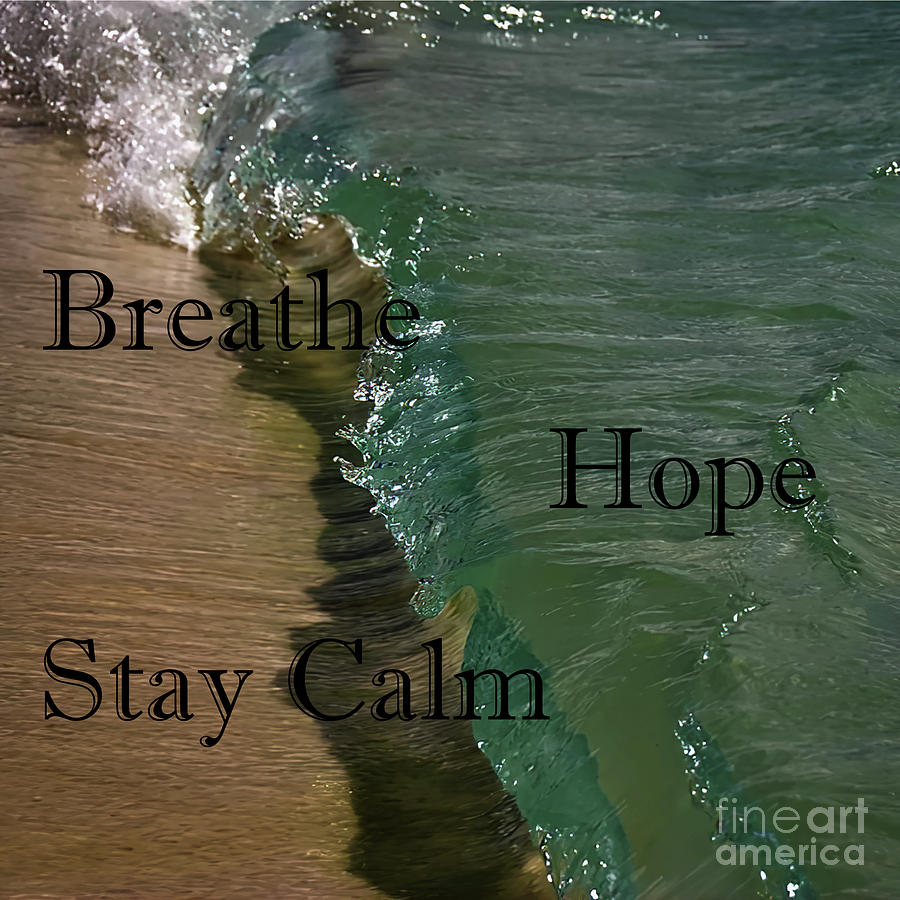 Breathe, stay calm Photograph by Pics By Tony