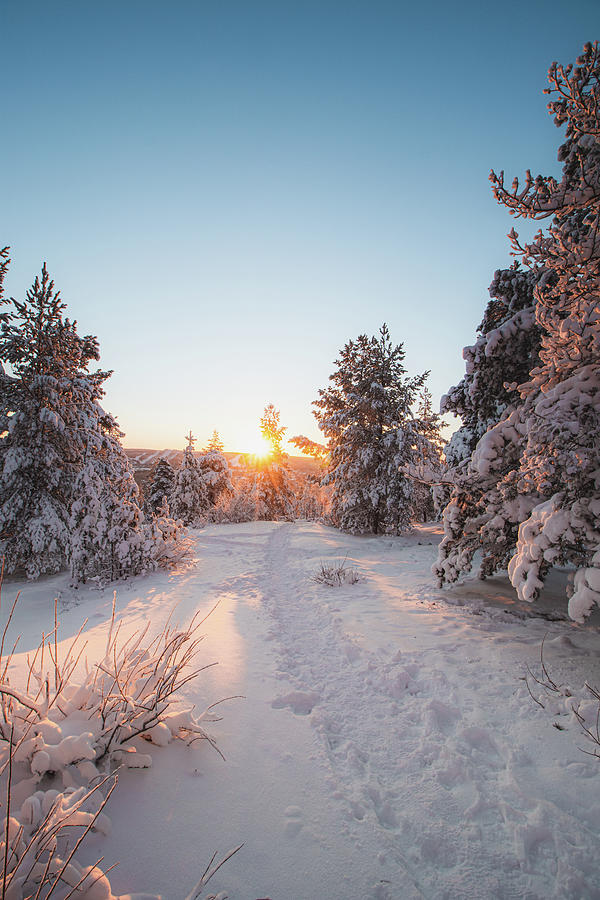 Breathtakingly frosty morning at a viewpoint in Rovaniemi Photograph by Vaclav Sonnek