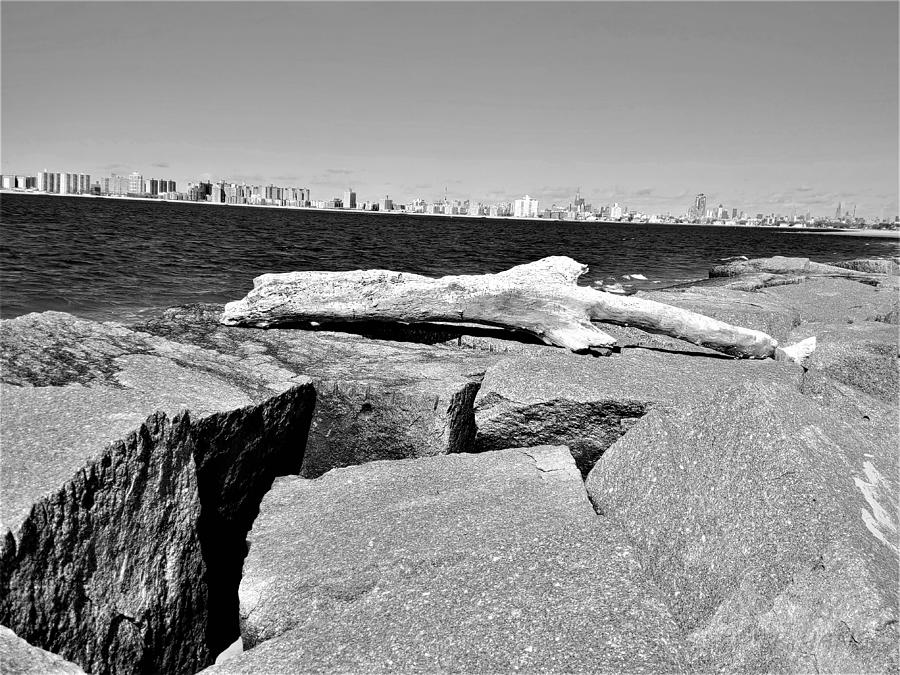 Breezy Point Driftwood B W Photograph by Rob Hans