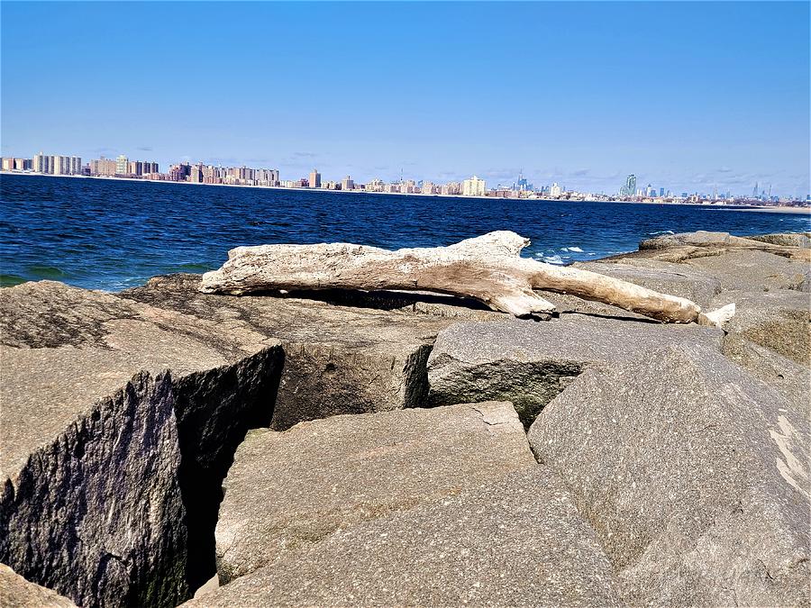 Breezy Point Driftwood Photograph by Rob Hans