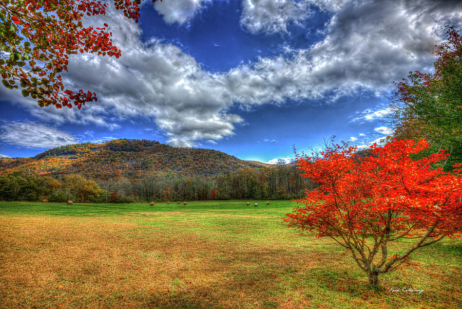 Brevard NC The Great Smoky Mountains Fall Colors Appalachian Landscape Art Photograph by Reid Callaway