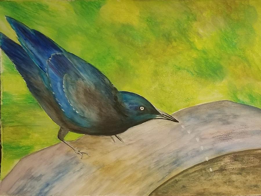 Brewers Blackbird Painting by Monica Habib