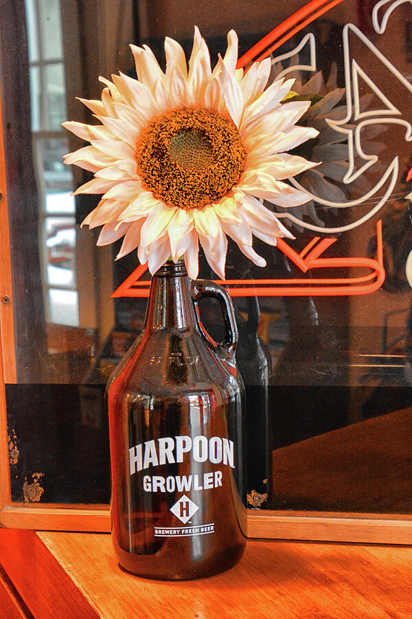 Brewery Beauty in a Brown Beer Bottle Photograph by Mike Martin