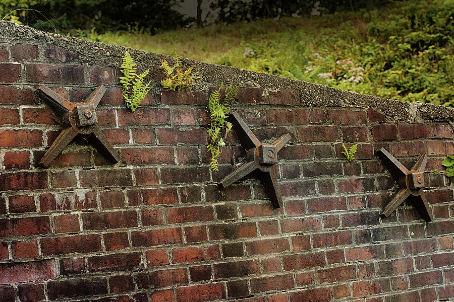 Brick And Iron Photograph by Sue Capuano