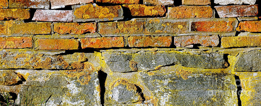 Brick and Stone Wall Photograph by Olivier Le Queinec