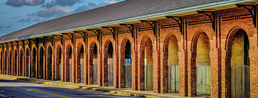 Brick Arches Into Distance Photograph by Darryl Brooks