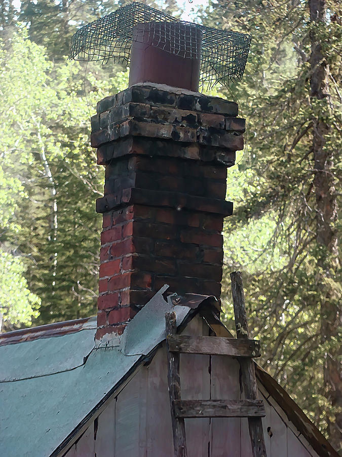 Brick Chimney Abandoned Homestead Photograph by Cathy Anderson