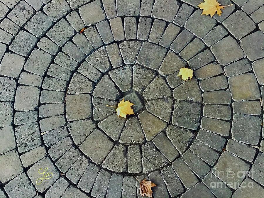 Brick Circle with Autumn Leaves Photograph by Lynne Paterson